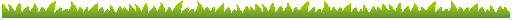 ľ